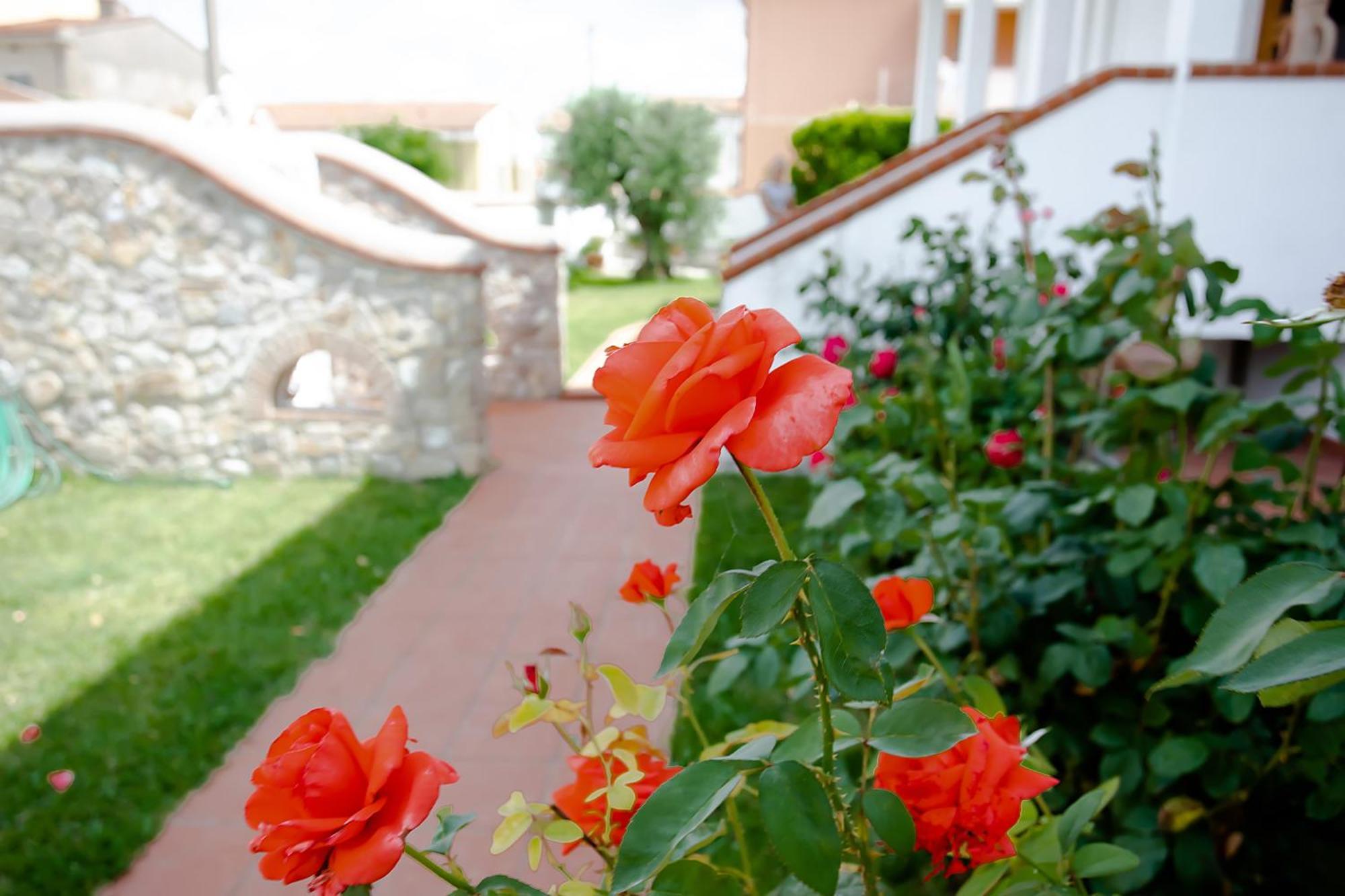 Affitti Brevi Green House Cascina Exterior photo